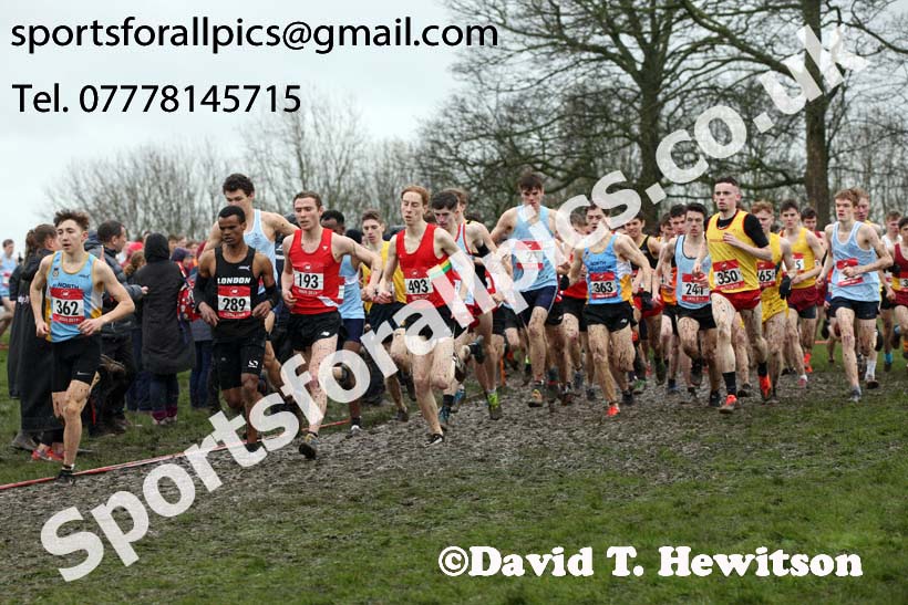 Senior boys 2019 New Balance English Schools Cross Country Champs, Temple Newsam, Leeds. Photo:  David T. Hewitson/Sports for All Pics